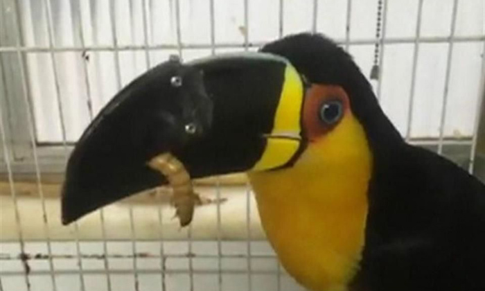 No todo es&nbsp;oscuridad