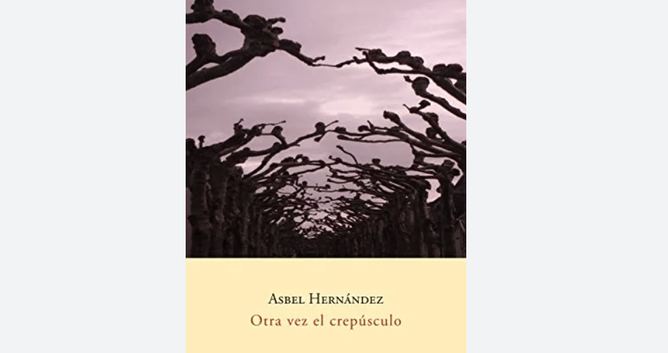 Asbel Hernández, una cuentista de lo&nbsp;real