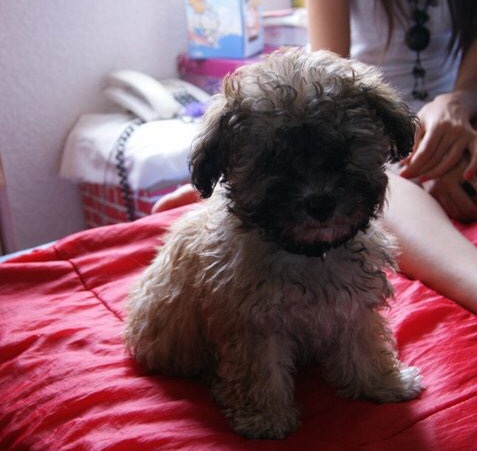 En lo fugaz, lo&nbsp;eterno