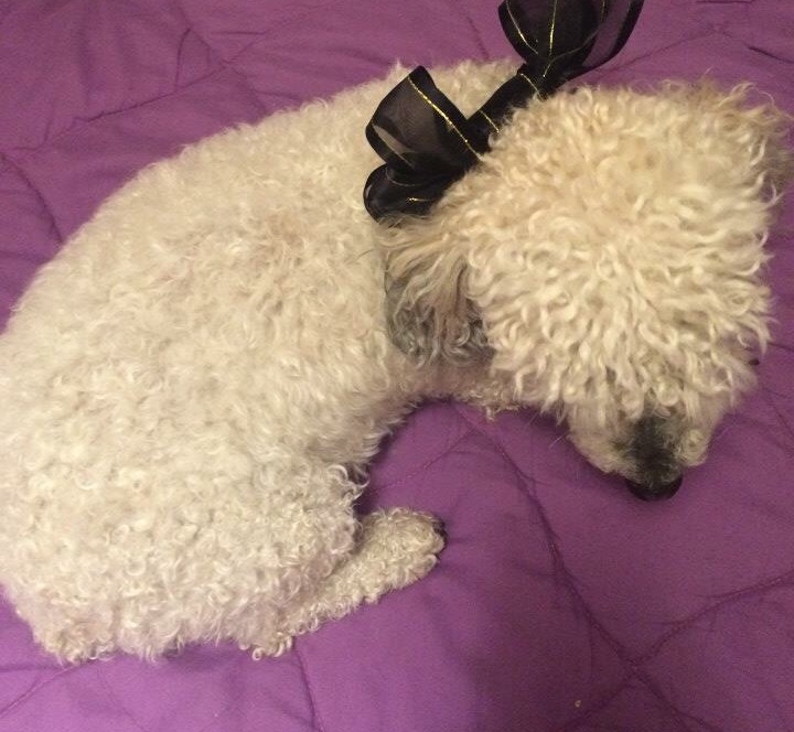 Apuntes sobre la pérdida (2/8):&nbsp;Sueños