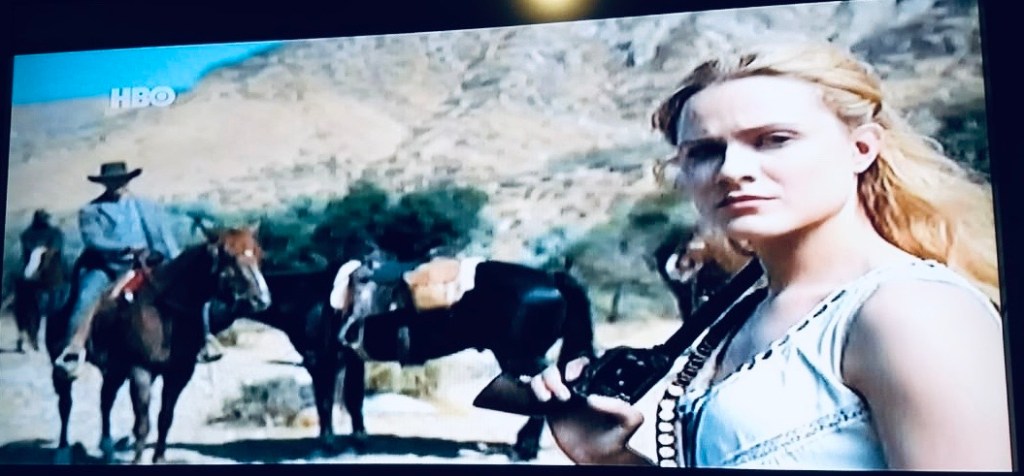 dolores abernathy decisones