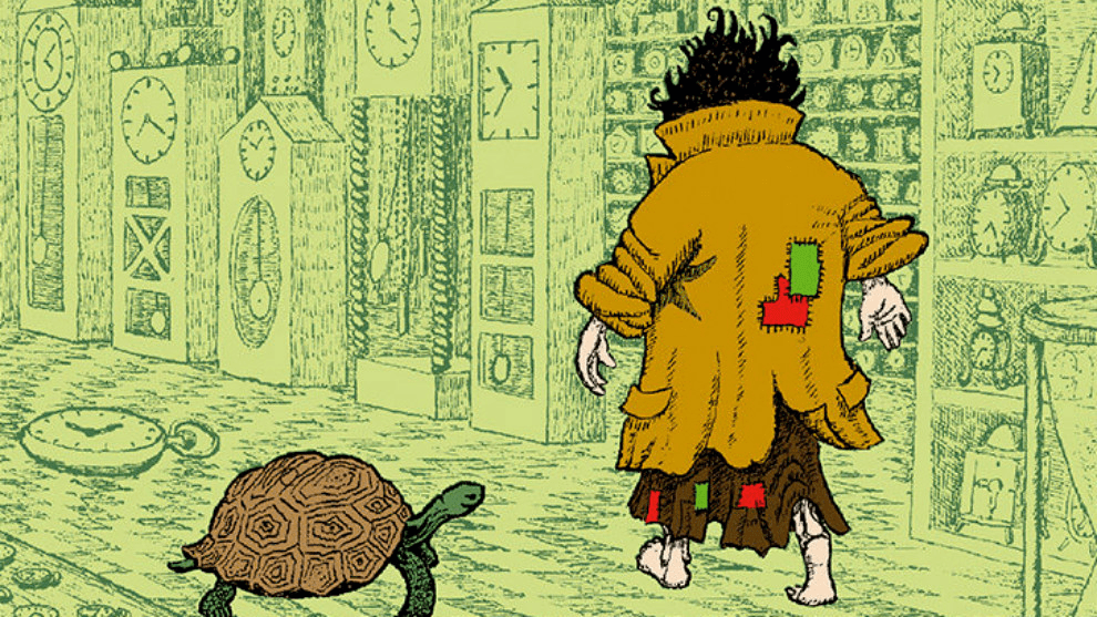 tortuga casiopea y momo