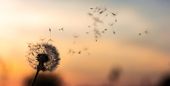 ESPECIAL | La muerte y lo&nbsp;real