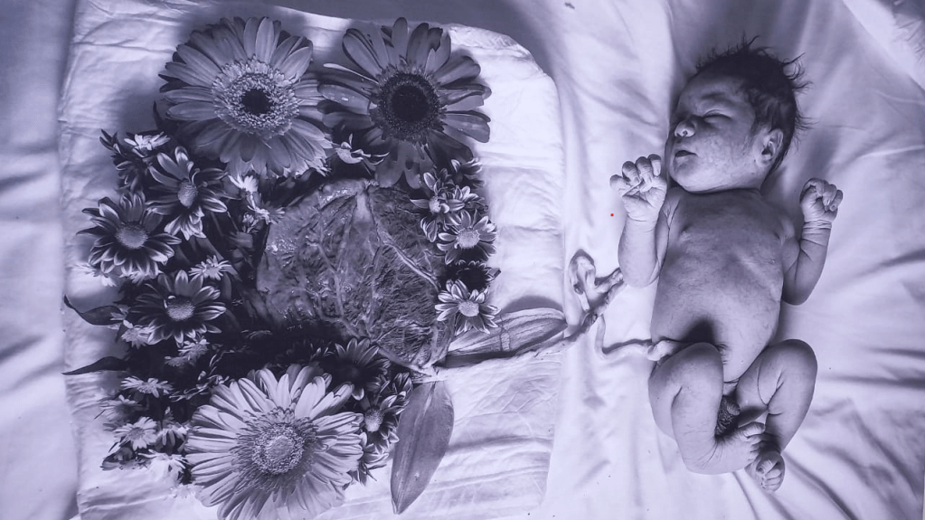 ESPECIAL  | Anotaciones de un explorador&nbsp;principiante