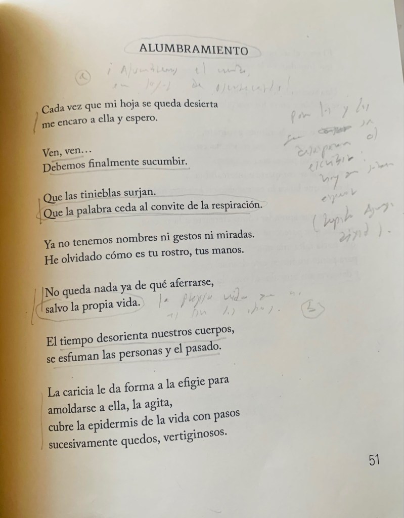 alumbramiento poema