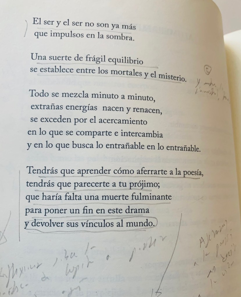 hermetismo cristalino lupita aguayo