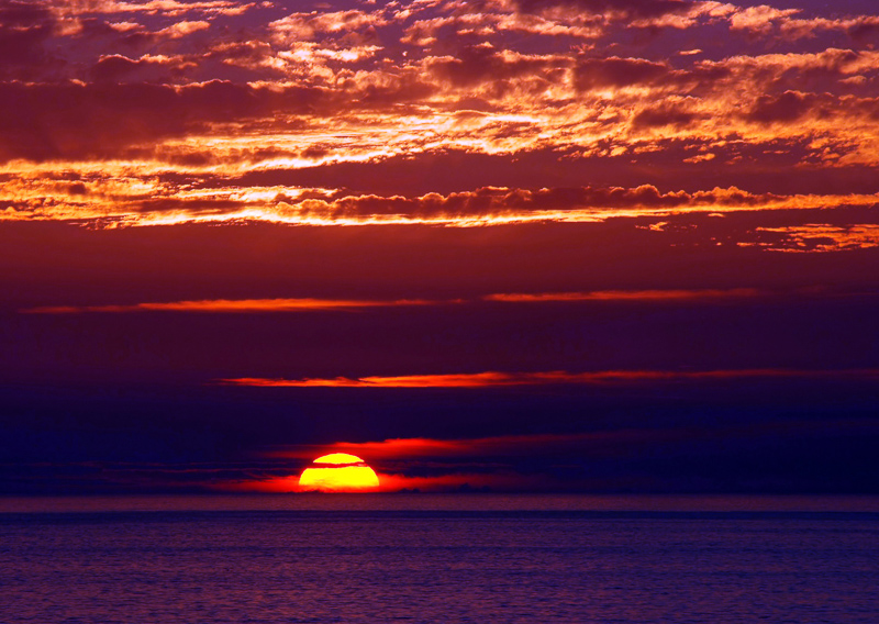 El ocaso de la&nbsp;vida