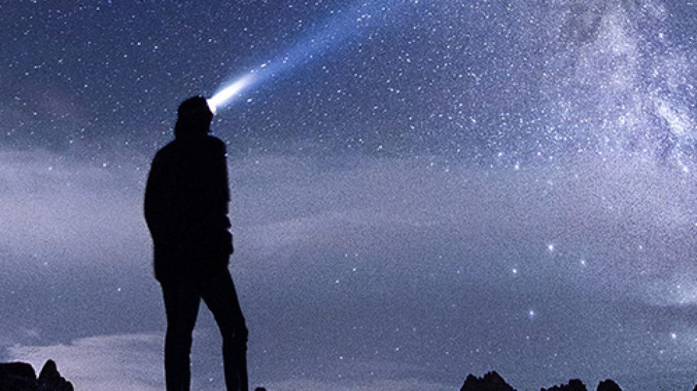 Diálogos entre lo falso y lo&nbsp;cierto