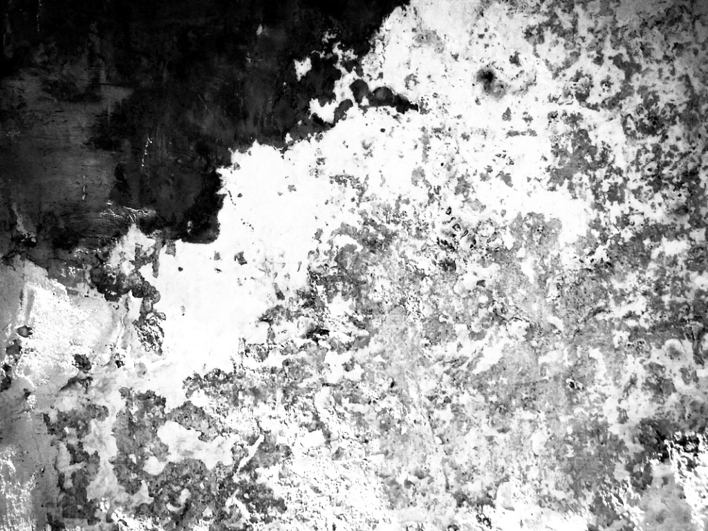 ¡Instituyamos la vida!