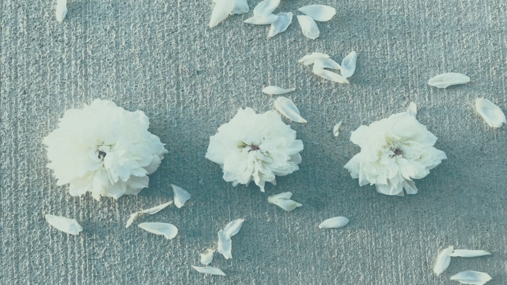 Mi cierre de&nbsp;año