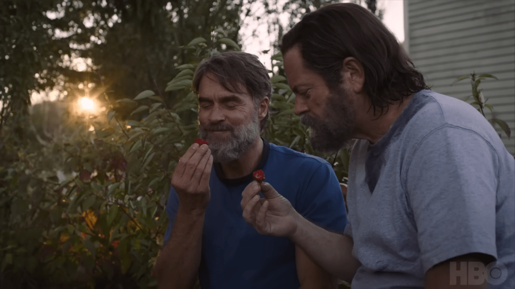 bill y frank the last of us