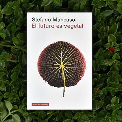 stefano mancuso biólogo libro