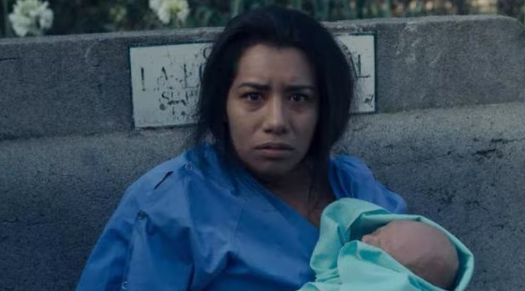 serie sobre las madres y vientres de alquiler México