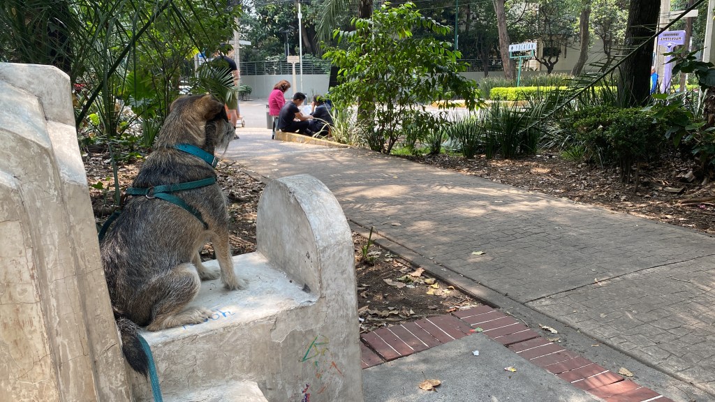 Imaginando | 2. El universo en tu&nbsp;mirada