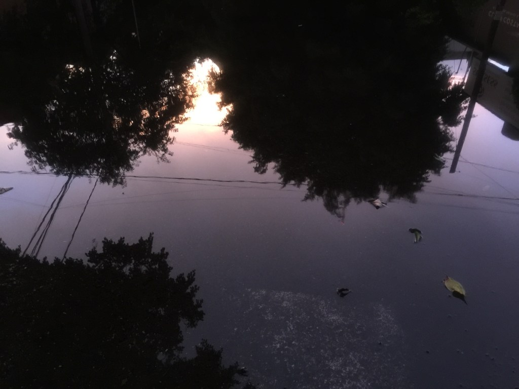 Imaginando | 5. Tierra&nbsp;mojada