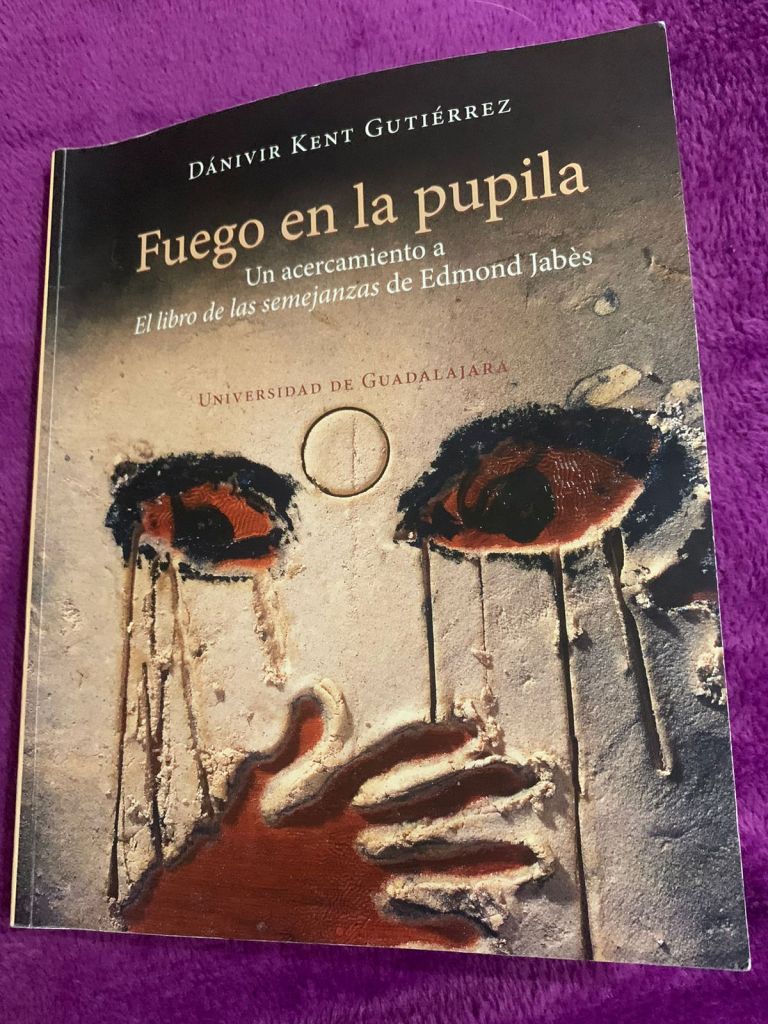 fuego en la pupila filosofía dánivir