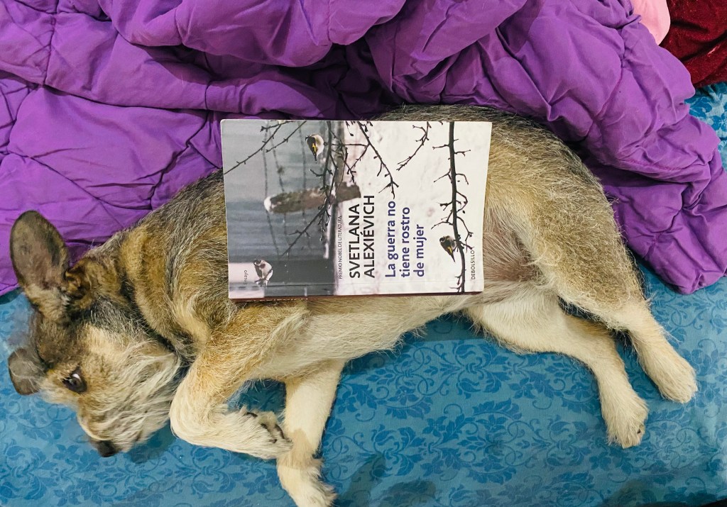 PANZA ARRIBA | Botitas, sombreros y una maleta llena de&nbsp;bombones