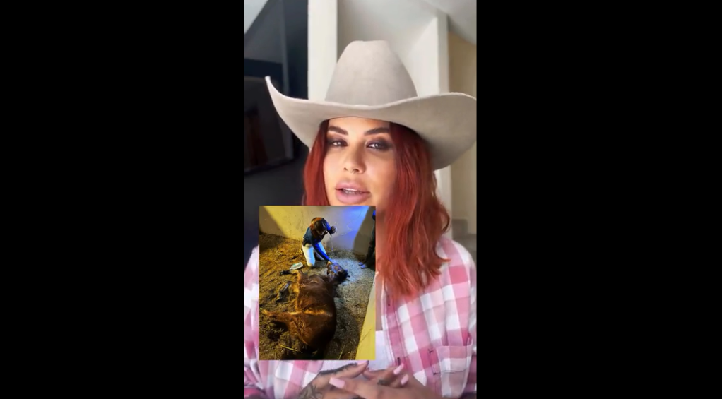 tik tok elena larrea caso mila