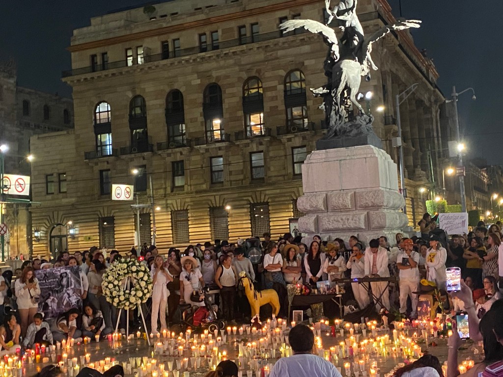 bellas artes homenaje a elena larrea