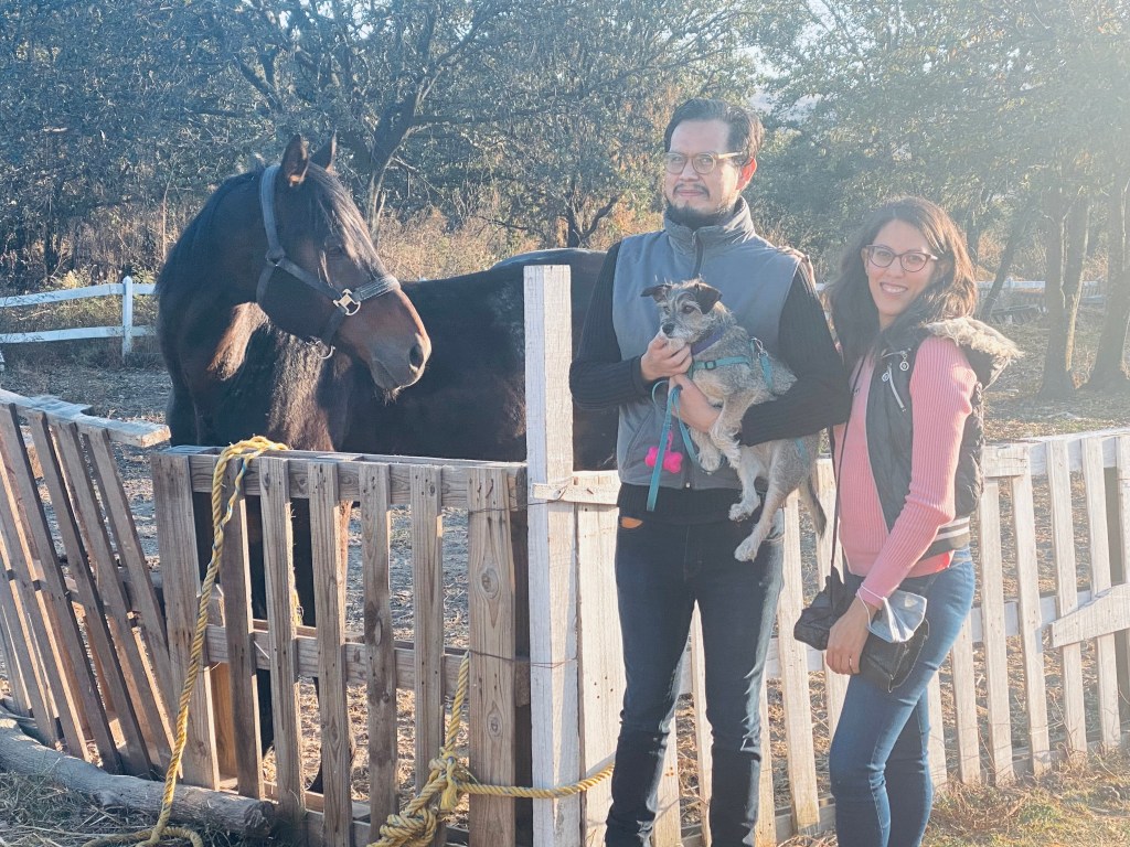 santuario de caballos rescatados