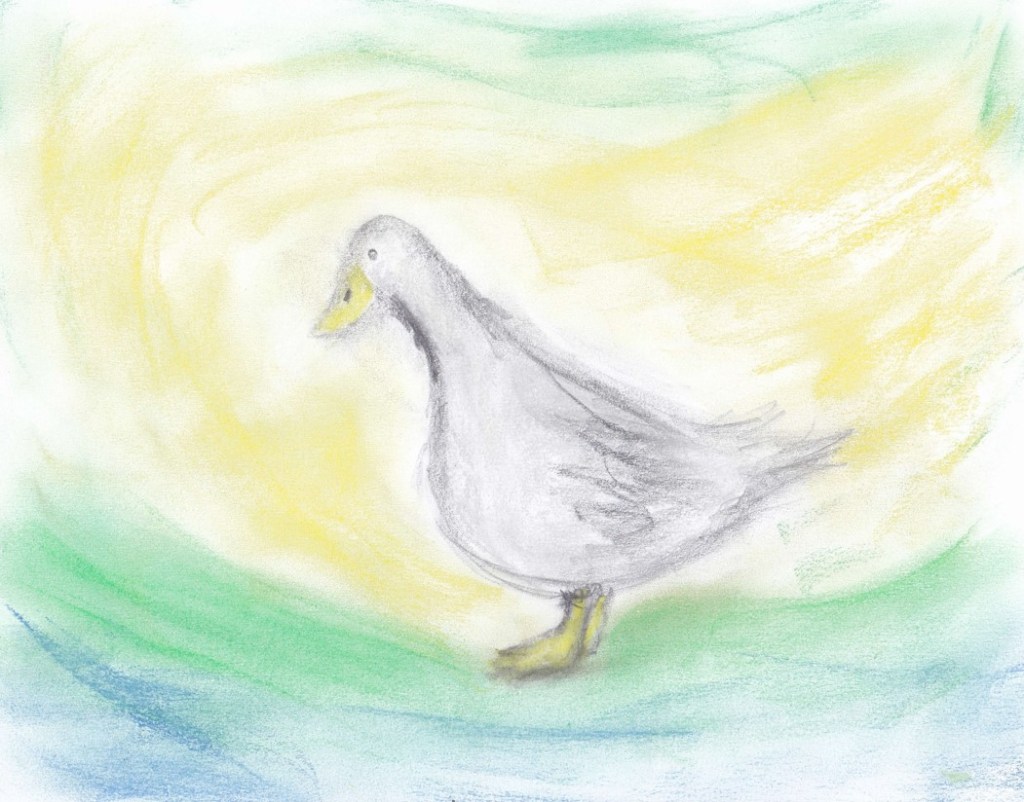 PANZA ARRIBA | Un pato es un&nbsp;parque