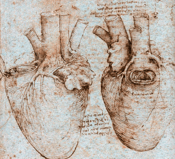 La magia de los&nbsp;corazones