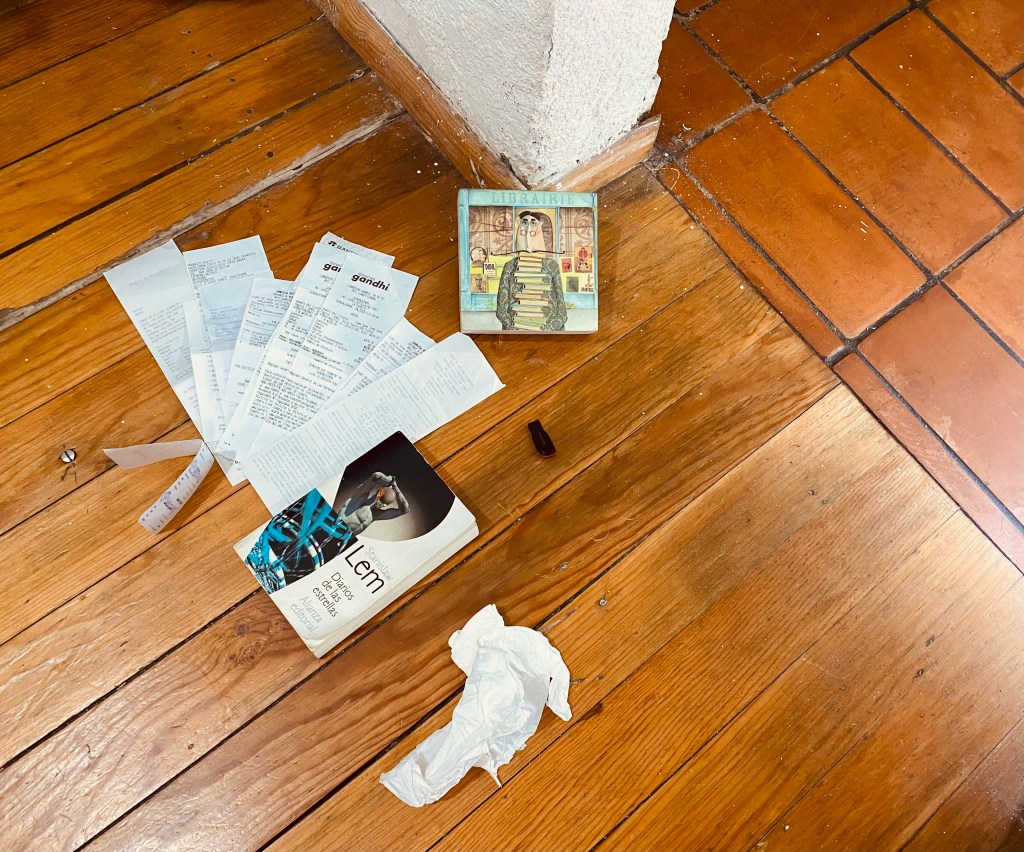 pañuelos biblioteca orden libros desorden muerte y vida