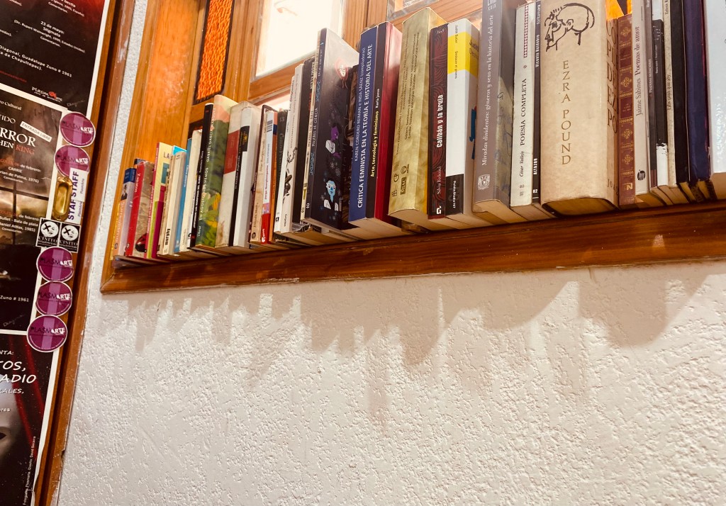 libros caos orden biblioteca