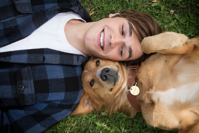 la razón de estar contigo historia sobre perros