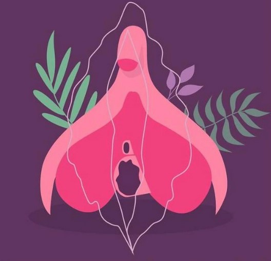 clítoris órgano invisible