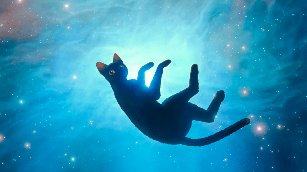 CineCuerdas | Flow: un mundo sin&nbsp;humanos