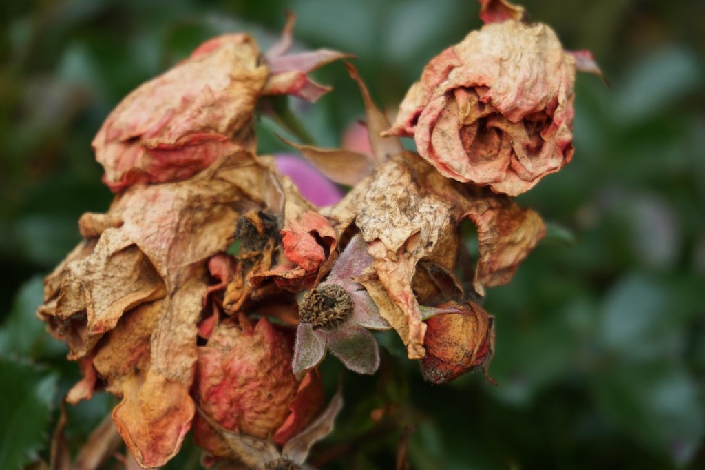 ESPECIAL | Que se pudran o que no se&nbsp;pudran…