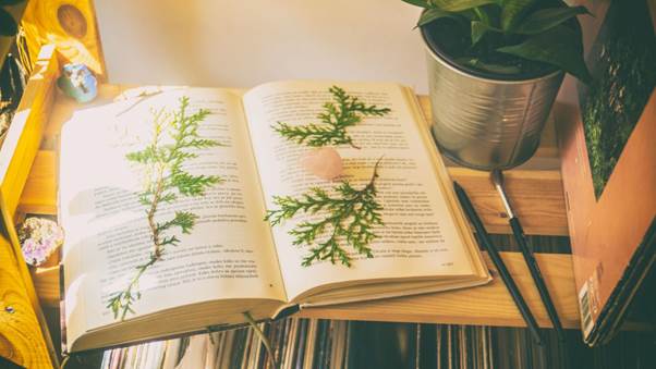 productos verdes y ecológicos la verdad