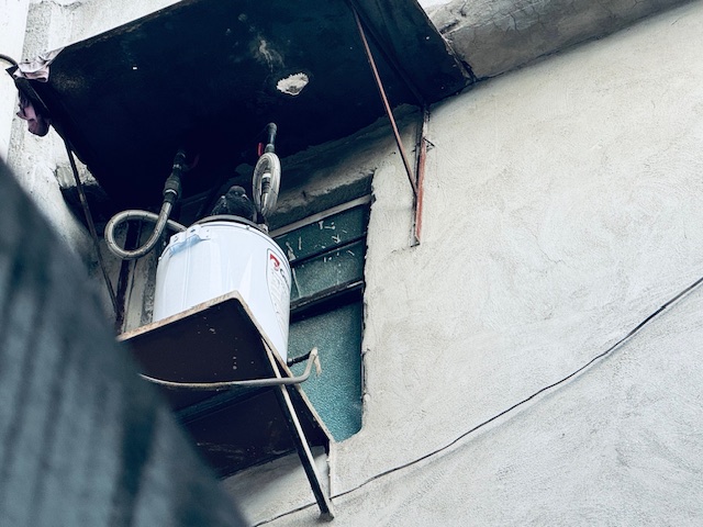 paloma en un bóiler