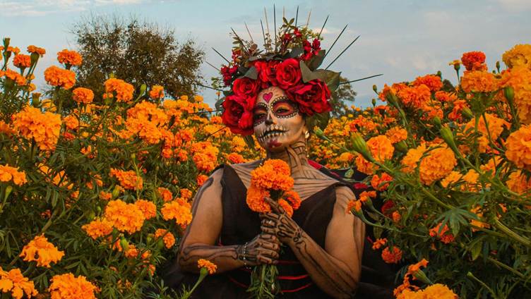 flores de cempasúchil en el día de muertos