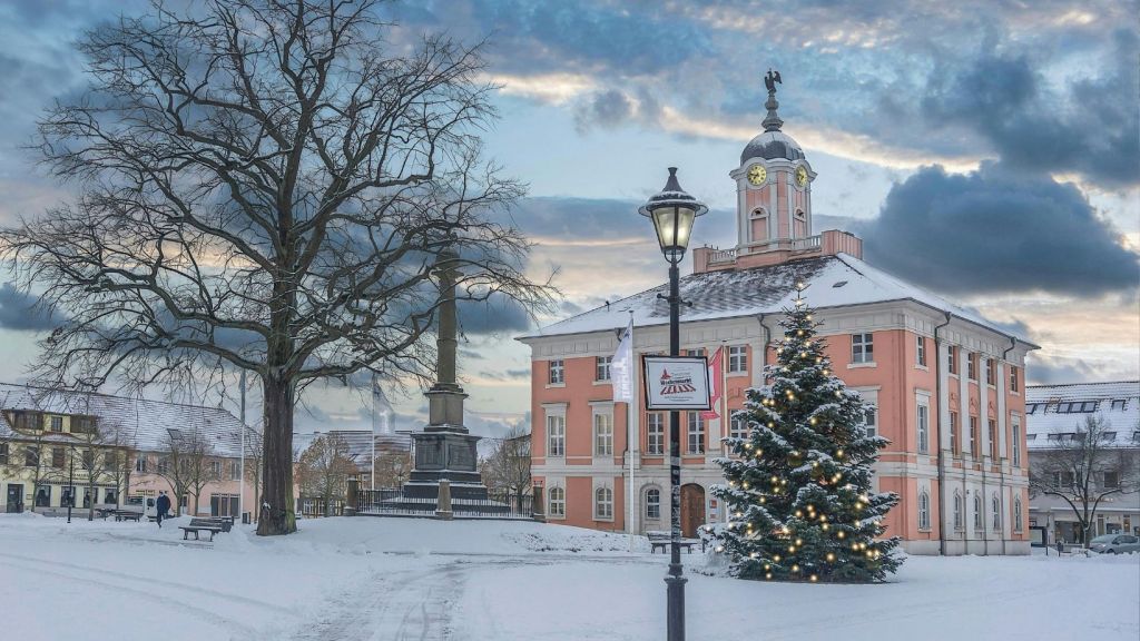 navidad con nieve y árboles
