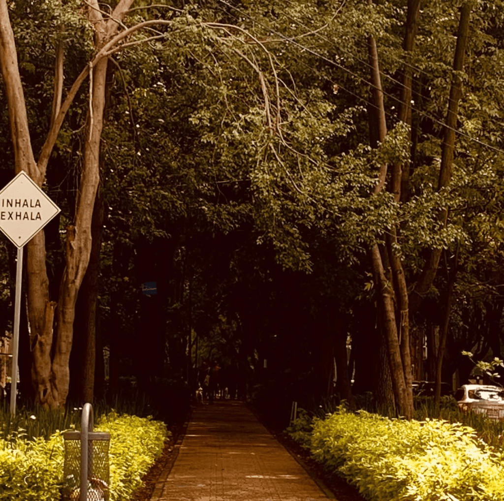 inhala y exhala respira consciencia esperanza