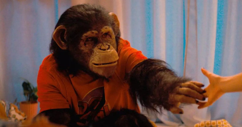 de qué trata la película primate