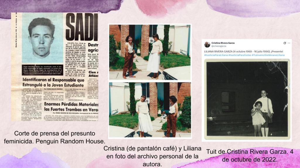 el invencible verano de liliana libro análisis
